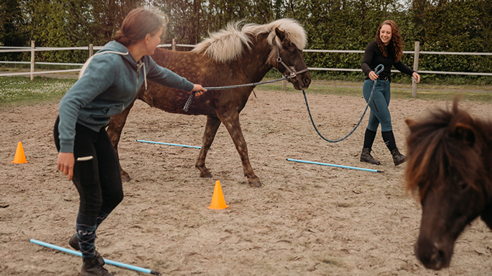 coaching met paarden voor jongeren